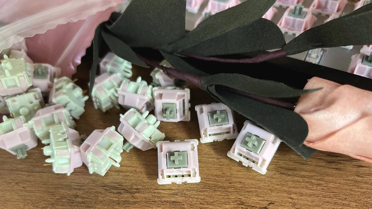 Witch Girl Tactile Switches | Mechanical Keyboard Switches by Mintlodica | SW-WG-TACTILE-40