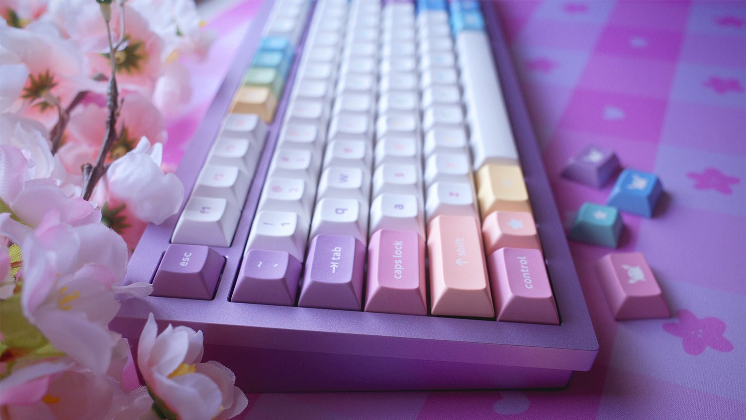 DSA Pastel Dreams Keycaps: EU & North Ireland Shipping ONLY | Keycaps by Mintlodica | KS - PD - BK - EU